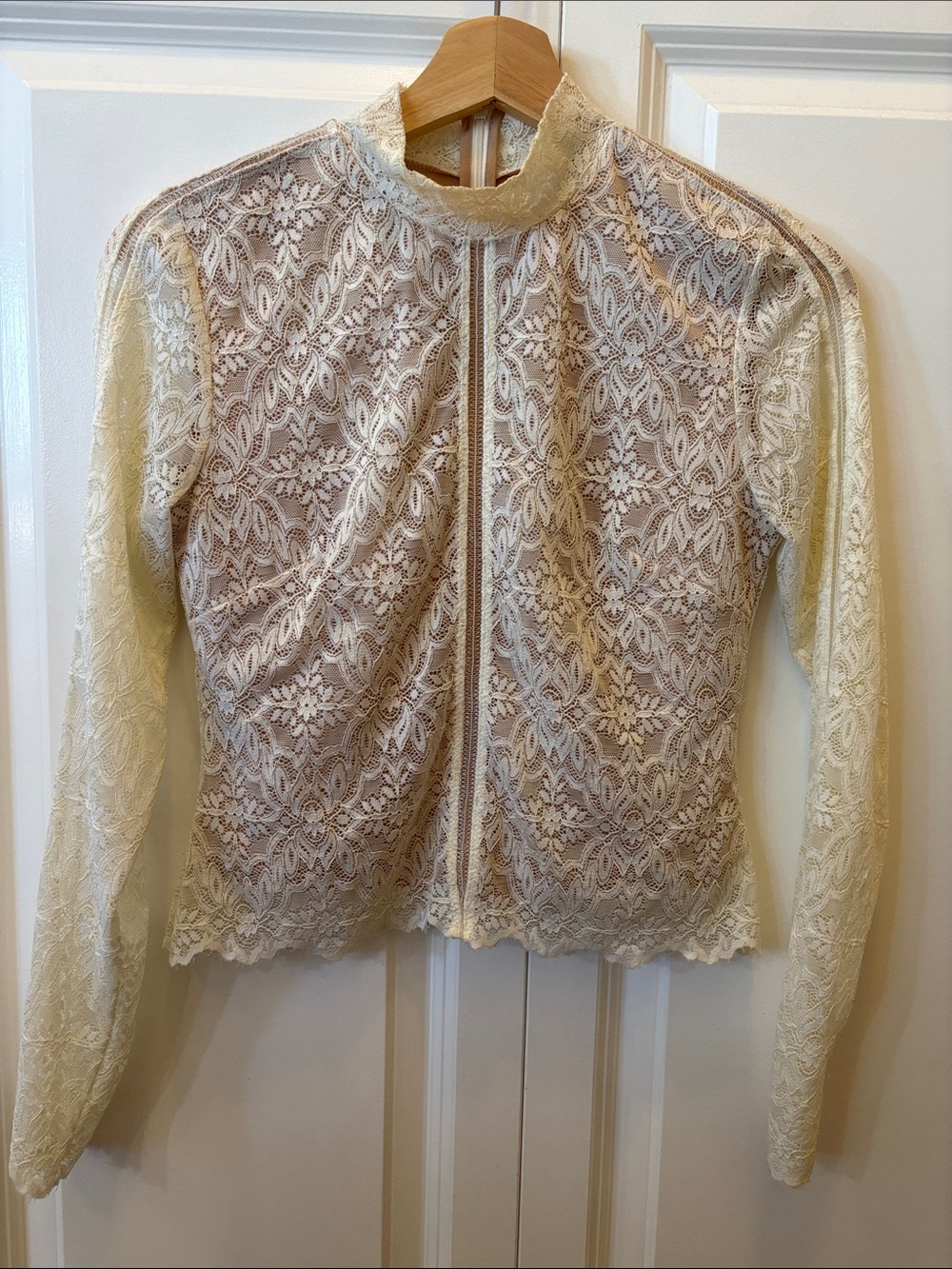 Aritzia High-Neck Long Sleeve Lace Top